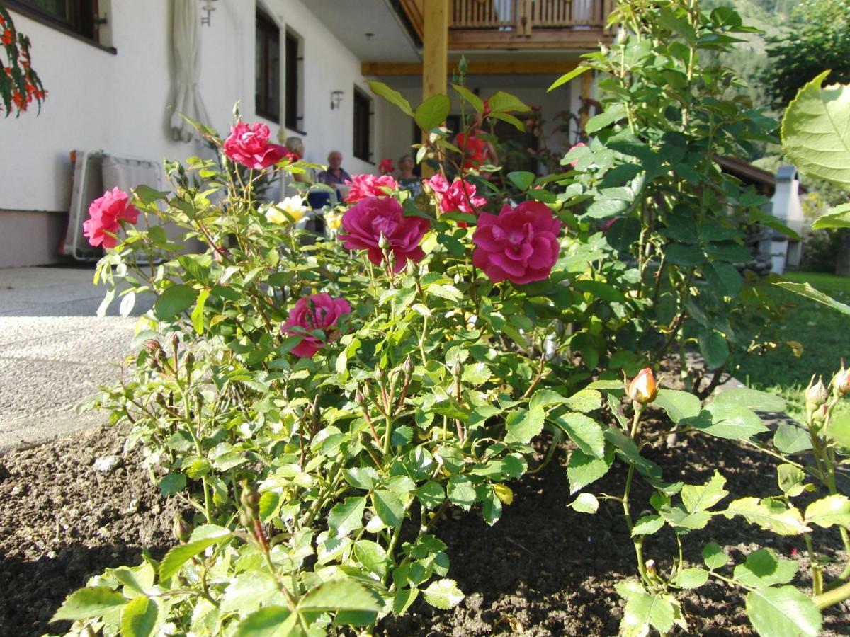 Appartements Wacker Bichlbach Kültér fotó