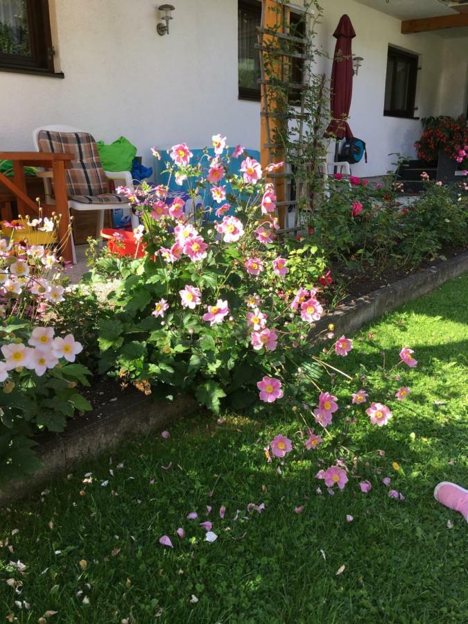Appartements Wacker Bichlbach Kültér fotó